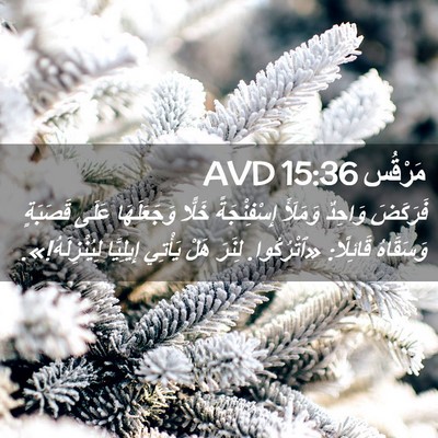 Picture 02 - مَرْقُس 15:36 AVD - فَرَكَضَ وَاحِدٌ وَمَلَأَ - Bible Verse Picture