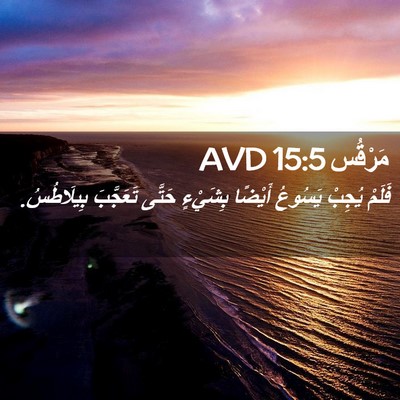 Picture 02 - مَرْقُس 15:5 AVD - فَلَمْ يُجِبْ يَسُوعُ - Bible Verse Picture