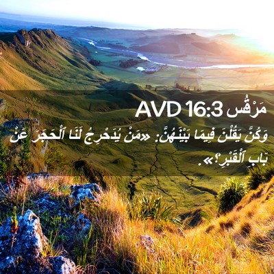 Picture 02 - مَرْقُس 16:3 AVD - وَكُنَّ يَقُلْنَ فِيمَا - Bible Verse Picture