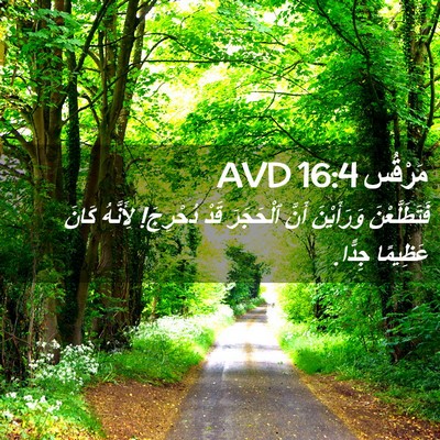 Picture 02 - مَرْقُس 16:4 AVD - فَتَطَلَّعْنَ وَرَأَيْنَ - Bible Verse Picture