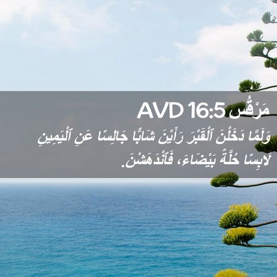 Picture 02 - مَرْقُس 16:5 AVD - وَلَمَّا دَخَلْنَ - Bible Verse Picture
