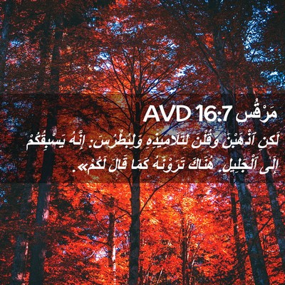 Picture 02 - مَرْقُس 16:7 AVD - لَكِنِ ٱذْهَبْنَ وَقُلْنَ - Bible Verse Picture