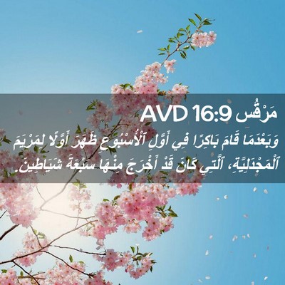 Picture 02 - مَرْقُس 16:9 AVD - وَبَعْدَمَا قَامَ - Bible Verse Picture