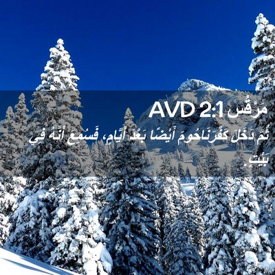 Picture 02 - مَرْقُس 2:1 AVD - ثُمَّ دَخَلَ - Bible Verse Picture