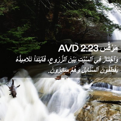Picture 02 - مَرْقُس 2:23 AVD - وَٱجْتَازَ فِي ٱلسَّبْتِ - Bible Verse Picture