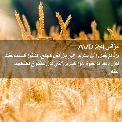 Picture 02 - مَرْقُس 2:4 AVD - وَإِذْ لَمْ يَقْدِرُوا - Bible Verse Picture