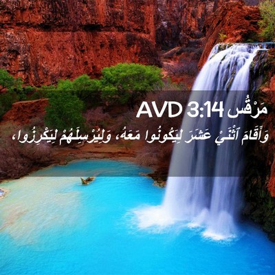 Picture 02 - مَرْقُس 3:14 AVD - وَأَقَامَ ٱثْنَيْ عَشَرَ - Bible Verse Picture