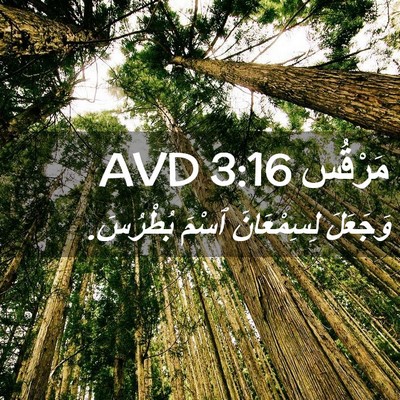 Picture 02 - مَرْقُس 3:16 AVD - وَجَعَلَ لِسِمْعَانَ - Bible Verse Picture
