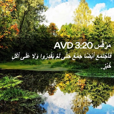 Picture 02 - مَرْقُس 3:20 AVD - فَٱجْتَمَعَ أَيْضًا - Bible Verse Picture