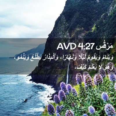 Picture 02 - مَرْقُس 4:27 AVD - وَيَنَامُ وَيَقُومُ - Bible Verse Picture