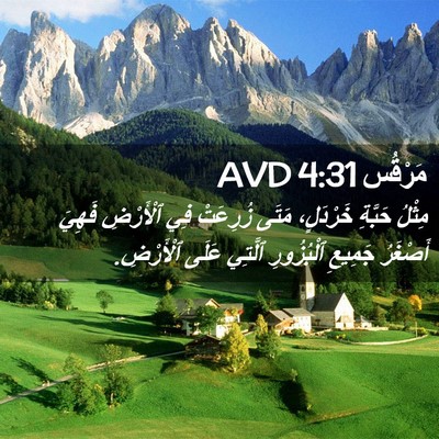 Picture 02 - مَرْقُس 4:31 AVD - مِثْلُ حَبَّةِ خَرْدَلٍ، - Bible Verse Picture