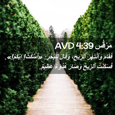 Picture 02 - مَرْقُس 4:39 AVD - فَقَامَ وَٱنْتَهَرَ - Bible Verse Picture