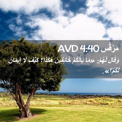 Picture 02 - مَرْقُس 4:40 AVD - وَقَالَ لَهُمْ: «مَا - Bible Verse Picture