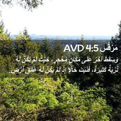 Picture 02 - مَرْقُس 4:5 AVD - وَسَقَطَ آخَرُ عَلَى - Bible Verse Picture
