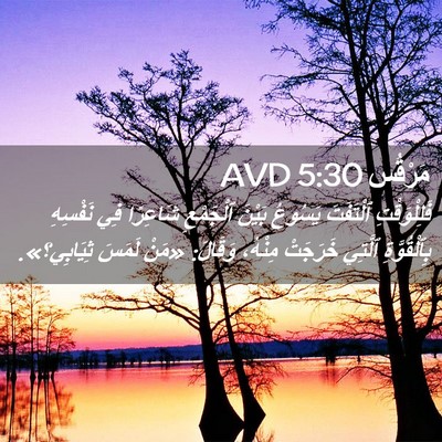 Picture 02 - مَرْقُس 5:30 AVD - فَلِلْوَقْتِ ٱلْتَفَتَ - Bible Verse Picture