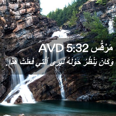 Picture 02 - مَرْقُس 5:32 AVD - وَكَانَ يَنْظُرُ حَوْلَهُ - Bible Verse Picture
