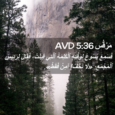 Picture 02 - مَرْقُس 5:36 AVD - فَسَمِعَ يَسُوعُ - Bible Verse Picture