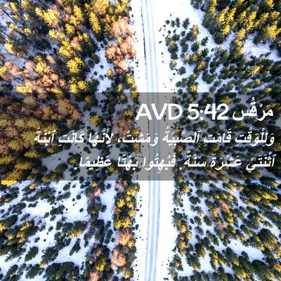 Picture 02 - مَرْقُس 5:42 AVD - وَلِلْوَقْتِ قَامَتِ - Bible Verse Picture