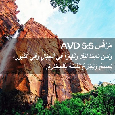 Picture 02 - مَرْقُس 5:5 AVD - وَكَانَ دَائِمًا لَيْلًا - Bible Verse Picture