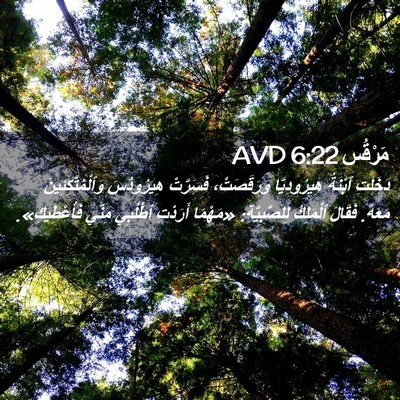Picture 02 - مَرْقُس 6:22 AVD - دَخَلَتِ ٱبْنَةُ - Bible Verse Picture