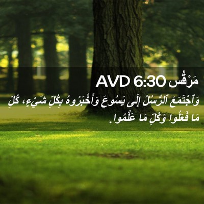 Picture 02 - مَرْقُس 6:30 AVD - وَٱجْتَمَعَ ٱلرُّسُلُ - Bible Verse Picture