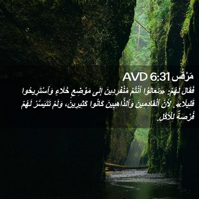 Picture 02 - مَرْقُس 6:31 AVD - فَقَالَ لَهُمْ: - Bible Verse Picture
