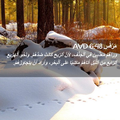 Picture 02 - مَرْقُس 6:48 AVD - وَرَآهُمْ مُعَذَّبِينَ - Bible Verse Picture