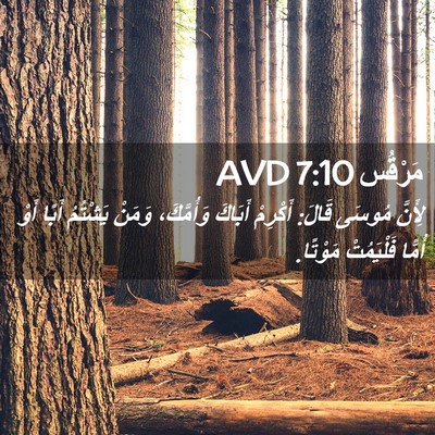 Picture 02 - مَرْقُس 7:10 AVD - لِأَنَّ مُوسَى قَالَ: - Bible Verse Picture