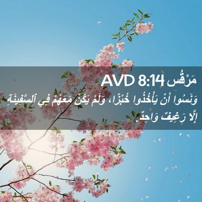 Picture 02 - مَرْقُس 8:14 AVD - وَنَسُوا أَنْ يَأْخُذُوا - Bible Verse Picture