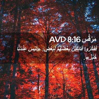 Picture 02 - مَرْقُس 8:16 AVD - فَفَكَّرُوا قَائِلِينَ - Bible Verse Picture