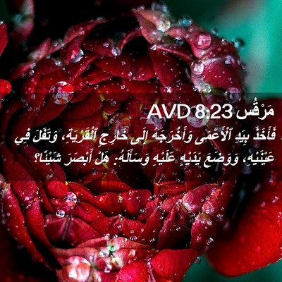 Picture 02 - مَرْقُس 8:23 AVD - فَأَخَذَ بِيَدِ - Bible Verse Picture