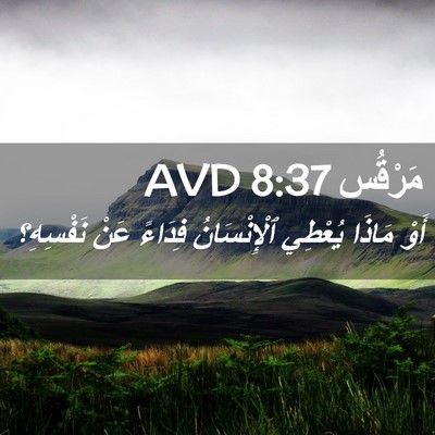Picture 02 - مَرْقُس 8:37 AVD - أَوْ مَاذَا يُعْطِي - Bible Verse Picture