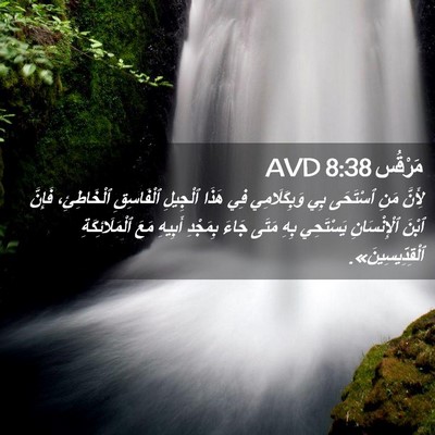 Picture 02 - مَرْقُس 8:38 AVD - لِأَنَّ مَنِ ٱسْتَحَى بِي - Bible Verse Picture
