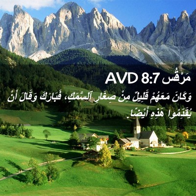 Picture 02 - مَرْقُس 8:7 AVD - وَكَانَ مَعَهُمْ قَلِيلٌ - Bible Verse Picture