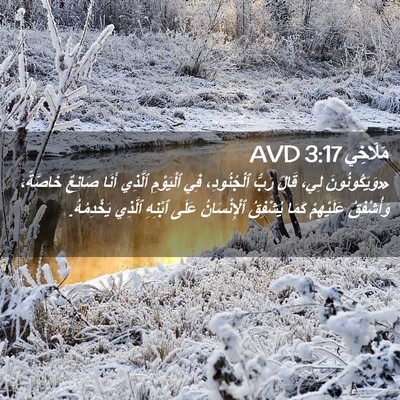 Picture 02 - مَلَاخِي 3:17 AVD - «وَيَكُونُونَ لِي، قَالَ - Bible Verse Picture