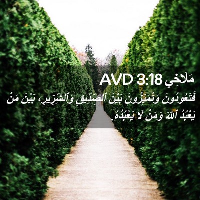 Picture 02 - مَلَاخِي 3:18 AVD - فَتَعُودُونَ - Bible Verse Picture