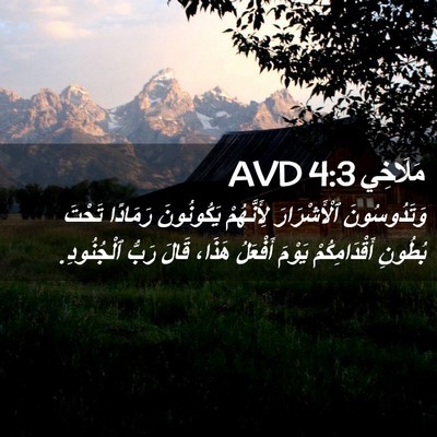Picture 02 - مَلَاخِي 4:3 AVD - وَتَدُوسُونَ ٱلْأَشْرَارَ - Bible Verse Picture