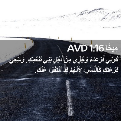 Picture 02 - مِيخَا 1:16 AVD - كُونِي قَرْعَاءَ وَجُزِّي - Bible Verse Picture