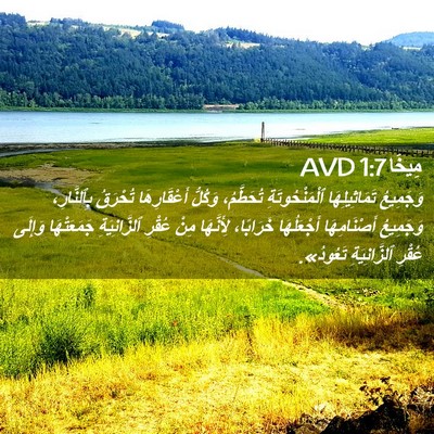 Picture 02 - مِيخَا 1:7 AVD - وَجَمِيعُ تَمَاثِيلِهَا - Bible Verse Picture