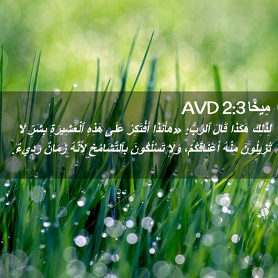 Picture 02 - مِيخَا 2:3 AVD - لِذَلِكَ هَكَذَا قَالَ - Bible Verse Picture
