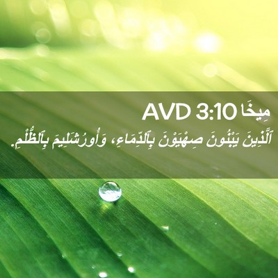 Picture 02 - مِيخَا 3:10 AVD - ٱلَّذِينَ يَبْنُونَ - Bible Verse Picture