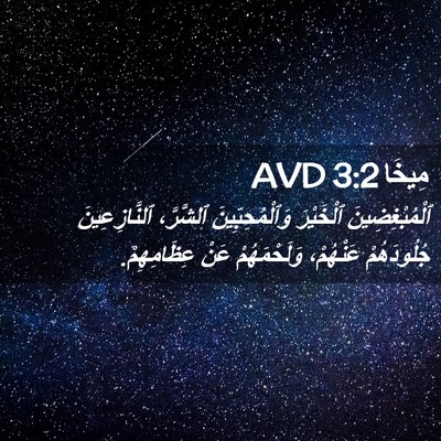Picture 02 - مِيخَا 3:2 AVD - ٱلْمُبْغِضِينَ ٱلْخَيْرَ - Bible Verse Picture