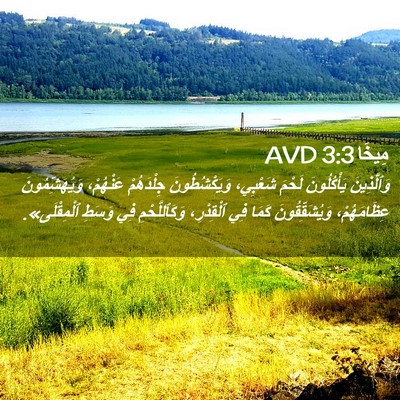 Picture 02 - مِيخَا 3:3 AVD - وَٱلَّذِينَ يَأْكُلُونَ - Bible Verse Picture