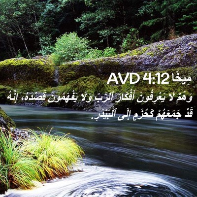 Picture 02 - مِيخَا 4:12 AVD - وَهُمْ لَا يَعْرِفُونَ - Bible Verse Picture