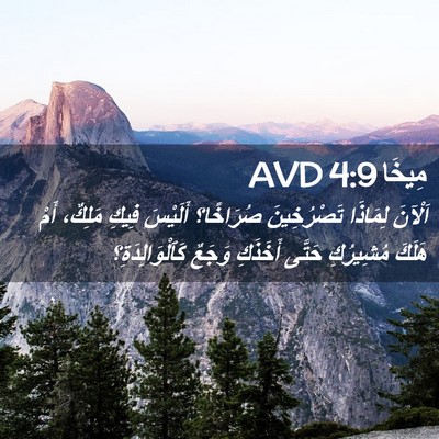 Picture 02 - مِيخَا 4:9 AVD - اَلْآنَ لِمَاذَا - Bible Verse Picture