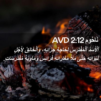 Picture 02 - نَاحُوم 2:12 AVD - ٱلْأَسَدُ ٱلْمُفْتَرِسُ - Bible Verse Picture