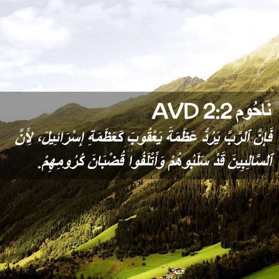 Picture 02 - نَاحُوم 2:2 AVD - فَإِنَّ ٱلرَّبَّ يَرُدُّ - Bible Verse Picture