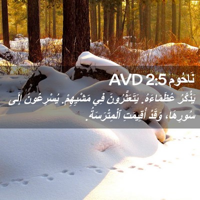 Picture 02 - نَاحُوم 2:5 AVD - يَذْكُرُ عُظَمَاءَهُ. - Bible Verse Picture