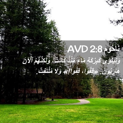 Picture 02 - نَاحُوم 2:8 AVD - وَنِينَوَى كَبِرْكَةِ - Bible Verse Picture