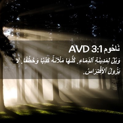 Picture 02 - نَاحُوم 3:1 AVD - وَيْلٌ لِمَدِينَةِ - Bible Verse Picture